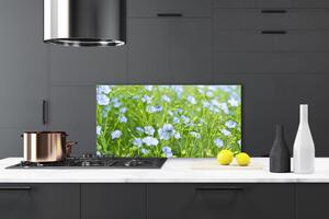 Kuchyňský skleněný panel Květiny Tráva Rostlina Příroda 120x60 cm