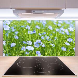 Kuchyňský skleněný panel Květiny Tráva Rostlina Příroda 140x70 cm