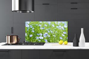 Kuchyňský skleněný panel Květiny Tráva Rostlina Příroda 100x50 cm