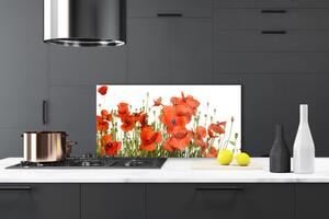 Kuchyňský skleněný panel Máky Rostlina Příroda 120x60 cm