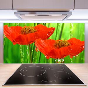 Kuchyňský skleněný panel Máky Rostlina Příroda 140x70 cm