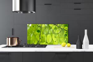 Kuchyňský skleněný panel Listy Příroda Rostlina 120x60 cm