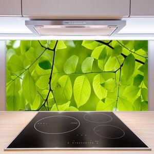 Kuchyňský skleněný panel Listy Příroda Rostlina 120x60 cm