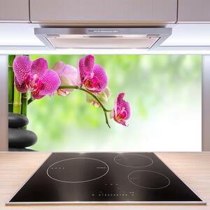 Kuchyňský skleněný panel Květ Kameny Rostlina 100x50 cm