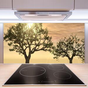 Kuchyňský skleněný panel Stromy Příroda 125x50 cm