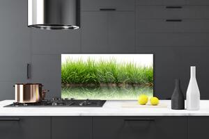 Kuchyňský skleněný panel Tráva Příroda Rostlina 100x50 cm