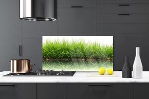 Kuchyňský skleněný panel Tráva Příroda Rostlina 120x60 cm