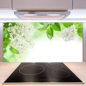 Kuchyňský skleněný panel Plátky Rostlina Příroda 100x50 cm