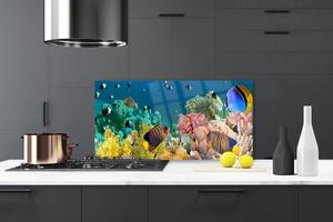 Kuchyňský skleněný panel Korálový Útes Příroda 140x70 cm