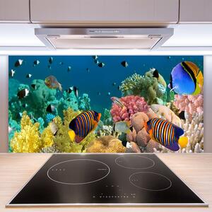 Kuchyňský skleněný panel Korálový Útes Příroda 140x70 cm