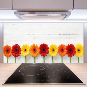 Skleněné obklady do kuchyně Květiny Rostlina Příroda 140x70 cm
