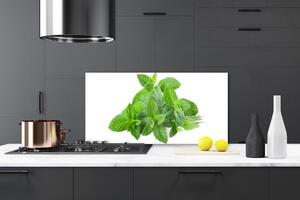 Skleněné obklady do kuchyně Máta Rostlina Příroda 125x50 cm