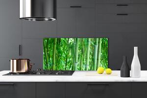 Kuchyňský skleněný panel Bambus Stonek Rostlina 100x50 cm