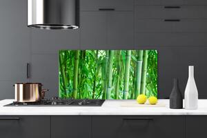 Kuchyňský skleněný panel Bambus Stonek Rostlina 140x70 cm