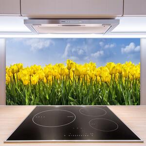 Skleněné obklady do kuchyně Tulipány Květiny Rostlina 125x50 cm