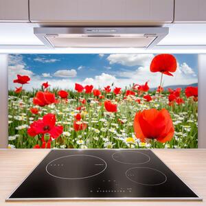 Skleněné obklady do kuchyně Louka Květiny Příroda 125x50 cm