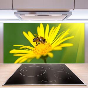Skleněné obklady do kuchyně Vosa Květ Rostlina Příroda 125x50 cm