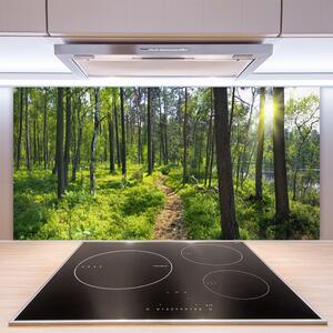 Skleněné obklady do kuchyně Les Stezka Cestička Příroda 125x50 cm