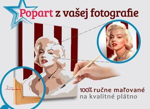 Malovaný POP Art obraz z fotografie