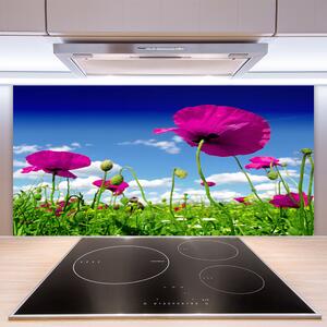 Skleněné obklady do kuchyně Louka Květiny Nebe Příroda 125x50 cm