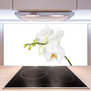Skleněné obklady do kuchyně Orchidej Květiny Příroda 125x50 cm