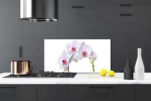 Skleněné obklady do kuchyně Vstavač Orchidej Květiny 125x50 cm
