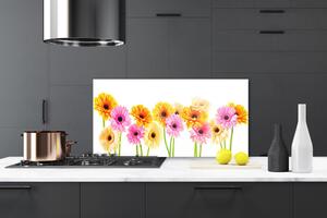 Skleněné obklady do kuchyně Barevné Květiny Gerbery 125x50 cm