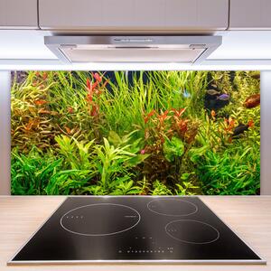 Skleněné obklady do kuchyně Akvárium Rybičky Rostliny 120x60 cm
