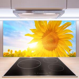 Skleněné obklady do kuchyně Slunečnice Květ Slunce 125x50 cm