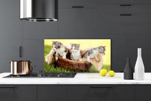 Skleněné obklady do kuchyně Kočky Zvířata 125x50 cm