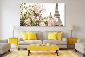 Obraz Eiffelova věž a růžové květy - 100x50 cm