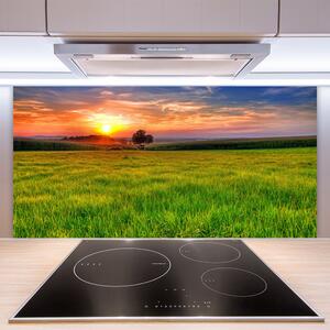 Skleněné obklady do kuchyně Louka Slunce Příroda 140x70 cm