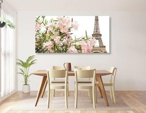 Obraz Eiffelova věž a růžové květy - 100x50 cm