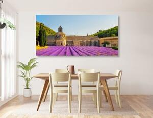 Obraz Provence s levandulovými poli - 100x50 cm