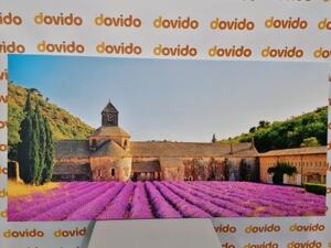Obraz Provence s levandulovými poli - 100x50 cm