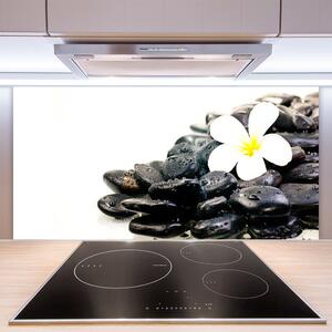 Skleněné obklady do kuchyně Květiny Kameny Umění 125x50 cm