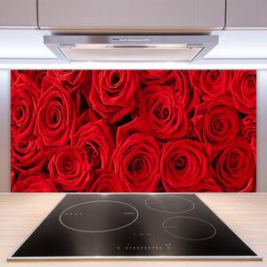 Skleněné obklady do kuchyně Růže Květiny Rostlina 125x50 cm