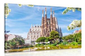 Obraz katedrála v Barceloně - 60x40 cm