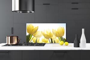 Skleněné obklady do kuchyně Tulipány Květiny Paprsky 120x60 cm