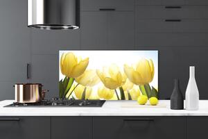Skleněné obklady do kuchyně Tulipány Květiny Paprsky 120x60 cm