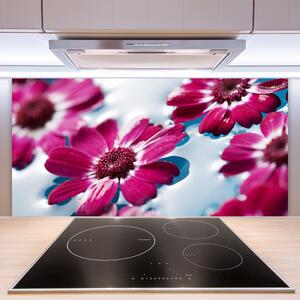 Skleněné obklady do kuchyně Květiny na Vodě Příroda 125x50 cm