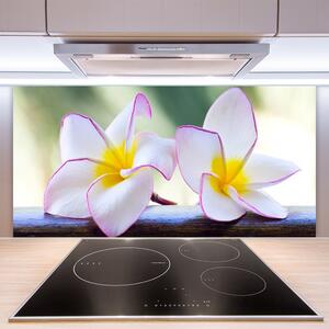 Skleněné obklady do kuchyně Květiny Plátky Plumérie 125x50 cm