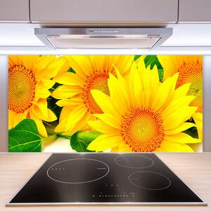 Skleněné obklady do kuchyně Slunečnice Květ Příroda 120x60 cm