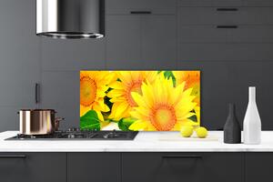 Skleněné obklady do kuchyně Slunečnice Květ Příroda 100x50 cm