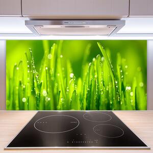 Skleněné obklady do kuchyně Zelená Tráva Kapky Rosy 140x70 cm