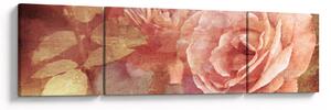 Obraz růží (170x50 cm)