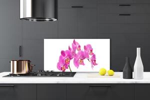 Skleněné obklady do kuchyně Orchidej Květiny Příroda 140x70 cm