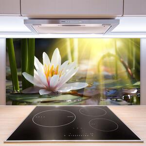 Skleněné obklady do kuchyně Vodní Lilie Slunce Rybník 140x70 cm