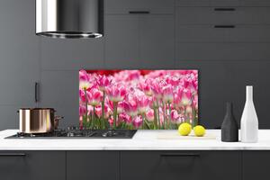 Skleněné obklady do kuchyně Tulipány Květiny Příroda 100x50 cm