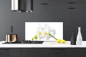 Skleněné obklady do kuchyně Plátky Květ Bíla Orchidej 140x70 cm